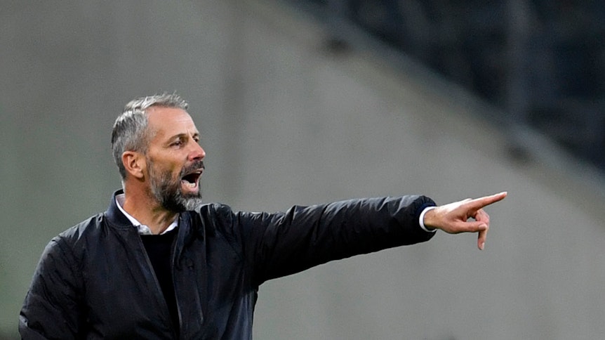 Gladbachs Trainer Marco Rose coacht sein Team im Spiel gegen Real Madrid.