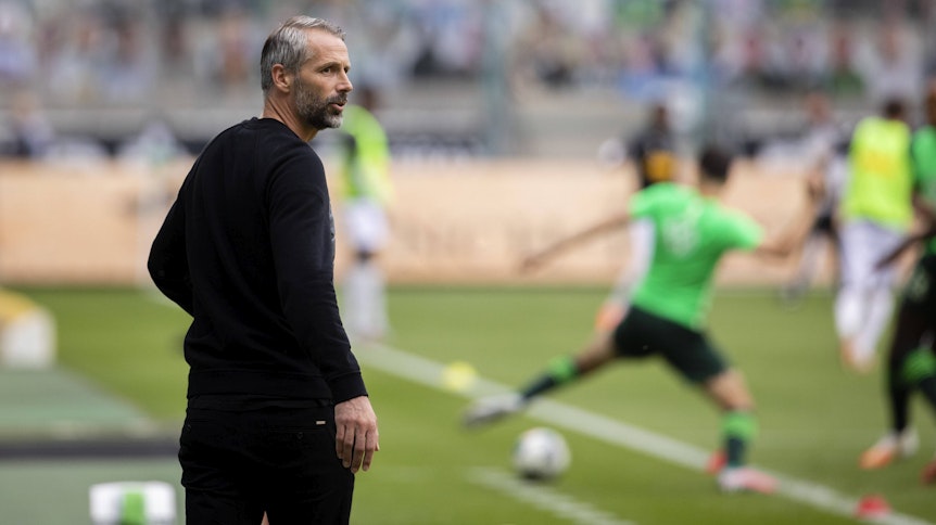 Marco Rose steht vor seiner zweiten Saison mit Borussia Mönchengladbach.