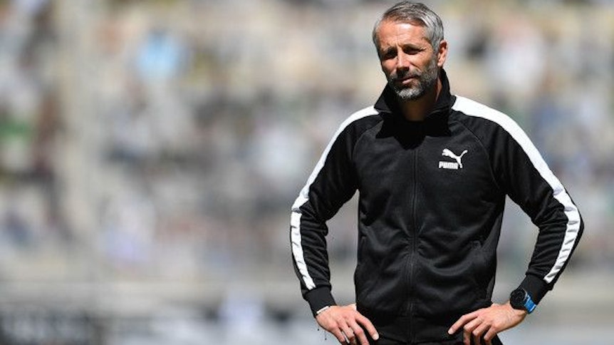 Marco Rose ist von den Mitgliedern eines Erotik-Portals zum erotischsten Trainer der Fußball-Bundesliga gewählt worden.