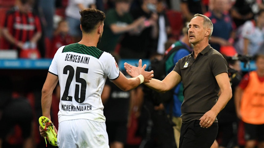 Gladbach-Trainer Adi Hütter (r.) klatscht Borussia-Verteidiger Ramy Bensebaini (l.) ab. Das Foto zeigt die beiden am 20. August 2021 in Leverkusen. Hütter und Bensebaini schauen sich an der Seitenlinie an.