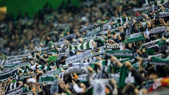 Fans von Fußball-Bundesligist Borussia Mönchengladbach am 20. November 2021 im Borussia-Park. Sie halten ihre Schals hoch.