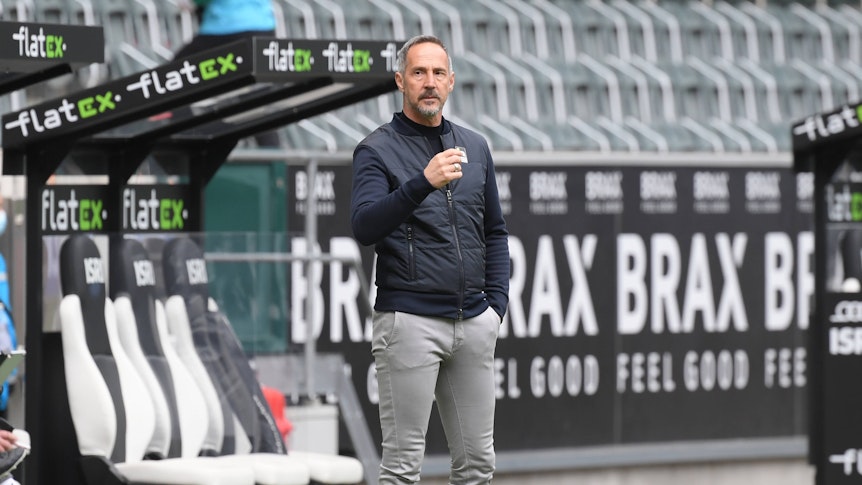 Trainer Adi Hütter steht an der Seitenlinie des Borussia-Parks und blickt auf das Spielfeld.