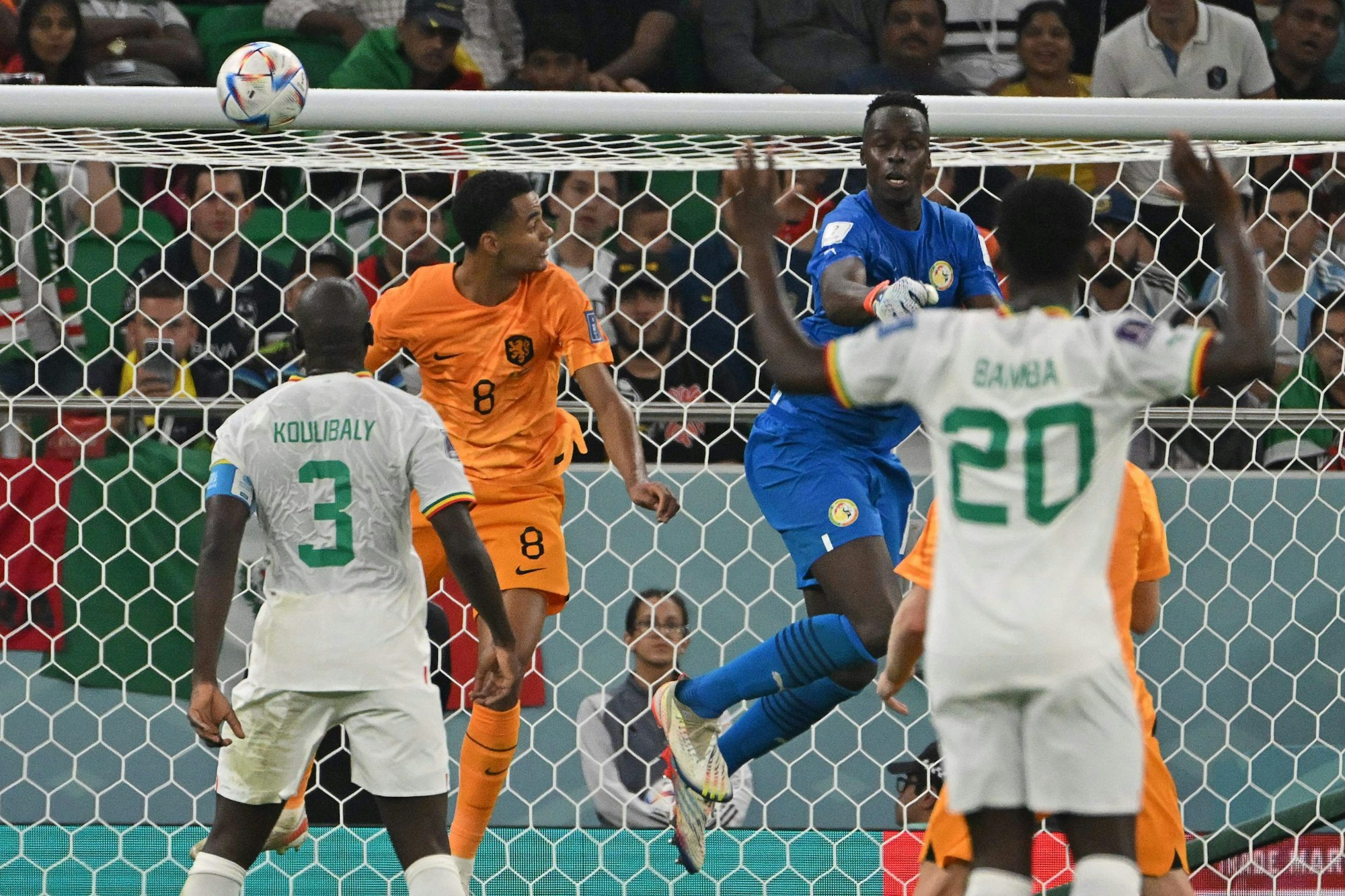 Cody Gakpo (2. v. l.) erzielte das 1:0 im ersten Gruppenspiel für die Niederlande gegen den Senegal.