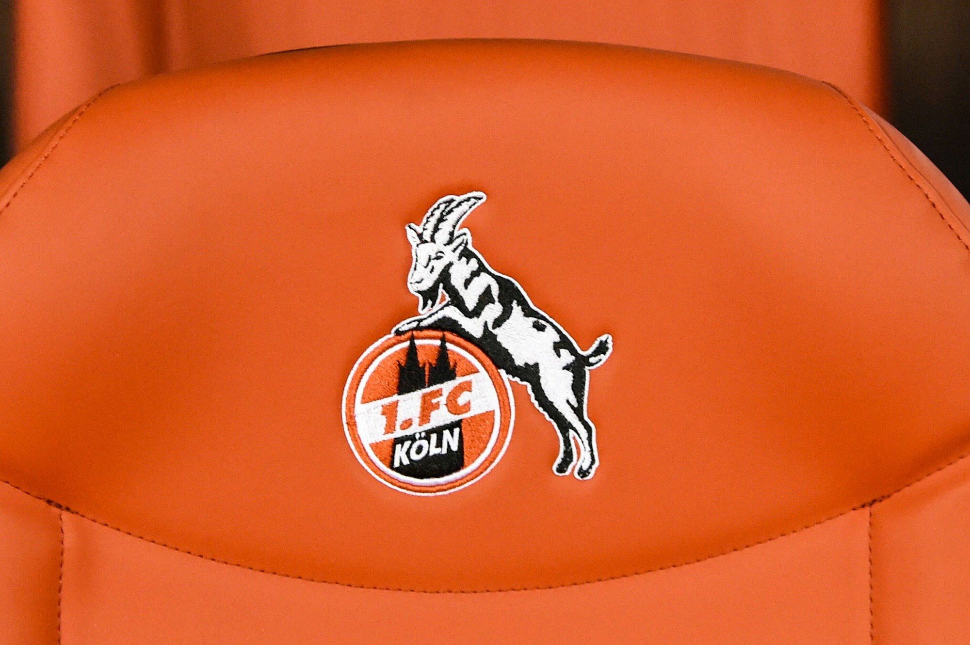 Kölner Dom und Geißbock als Wappen des 1. FC Köln auf der Bestuhlung im Franz-Kremer-Stadion, Symbolfoto.