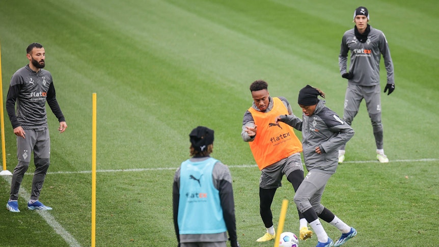 Borussia-Spieler auf dem Rasen.