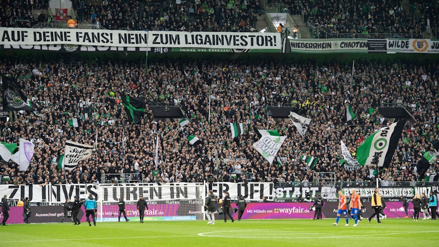 Mitarbeitende sammeln Tennisbälle auf dem Borussia-Park-Rasen ein.