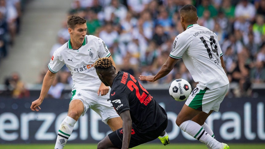 Alassane Plea und Max Wöber wollen sich gegen Victor Boniface behaupten.