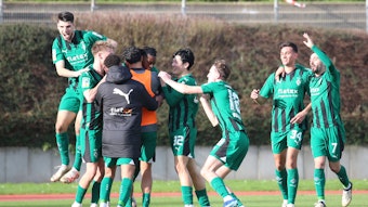 Borussia-Spieler beim Torjubel.