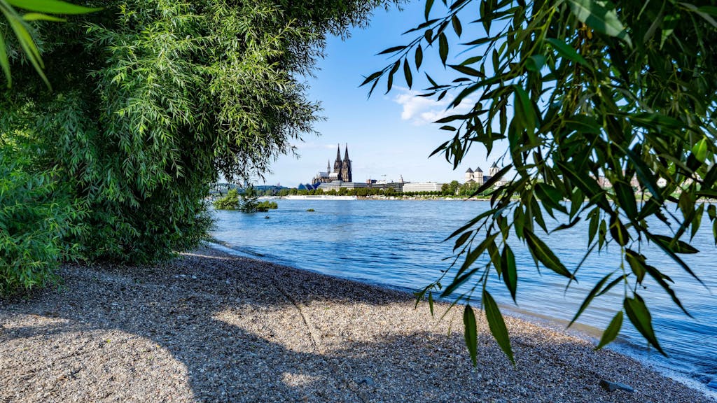 Rhein Aktuelle News Städte, Verlauf, Länge, Mündung und mehr Express