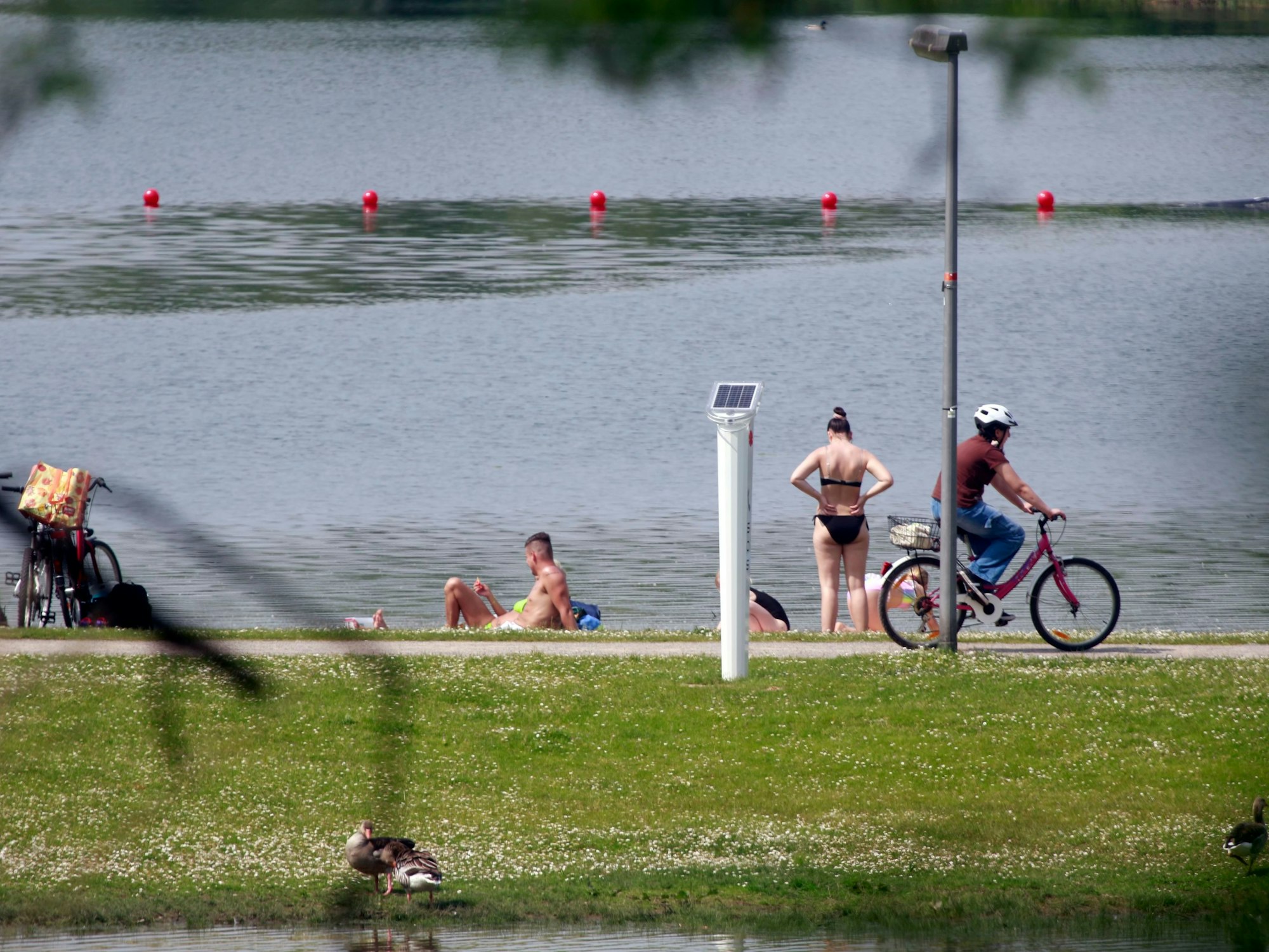 Schwimmen im Fühlinger See in Köln Neue Verbote beschlossen Express