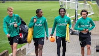 Niklas Swider, Charles Herrmann, Winsley Boteli und Kilian Sauck beim Profi-Training.