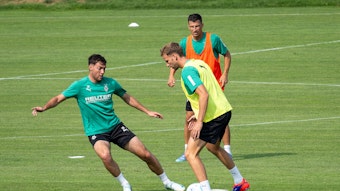 Drei Fohlen-Verteidiger im Gladbach-Training.