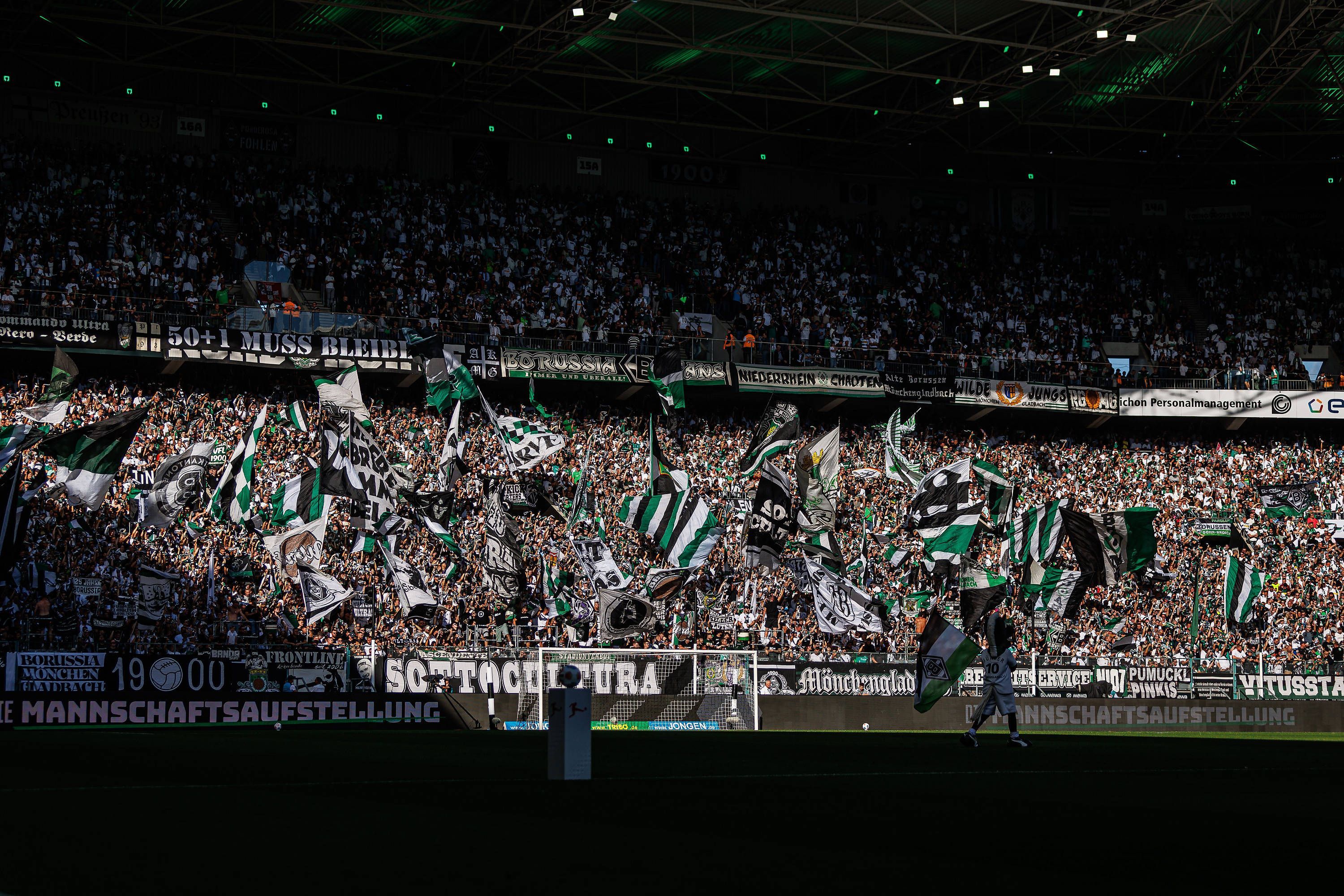 Fans von Borussia Mönchengladbach mit Fahnen im Stadion
