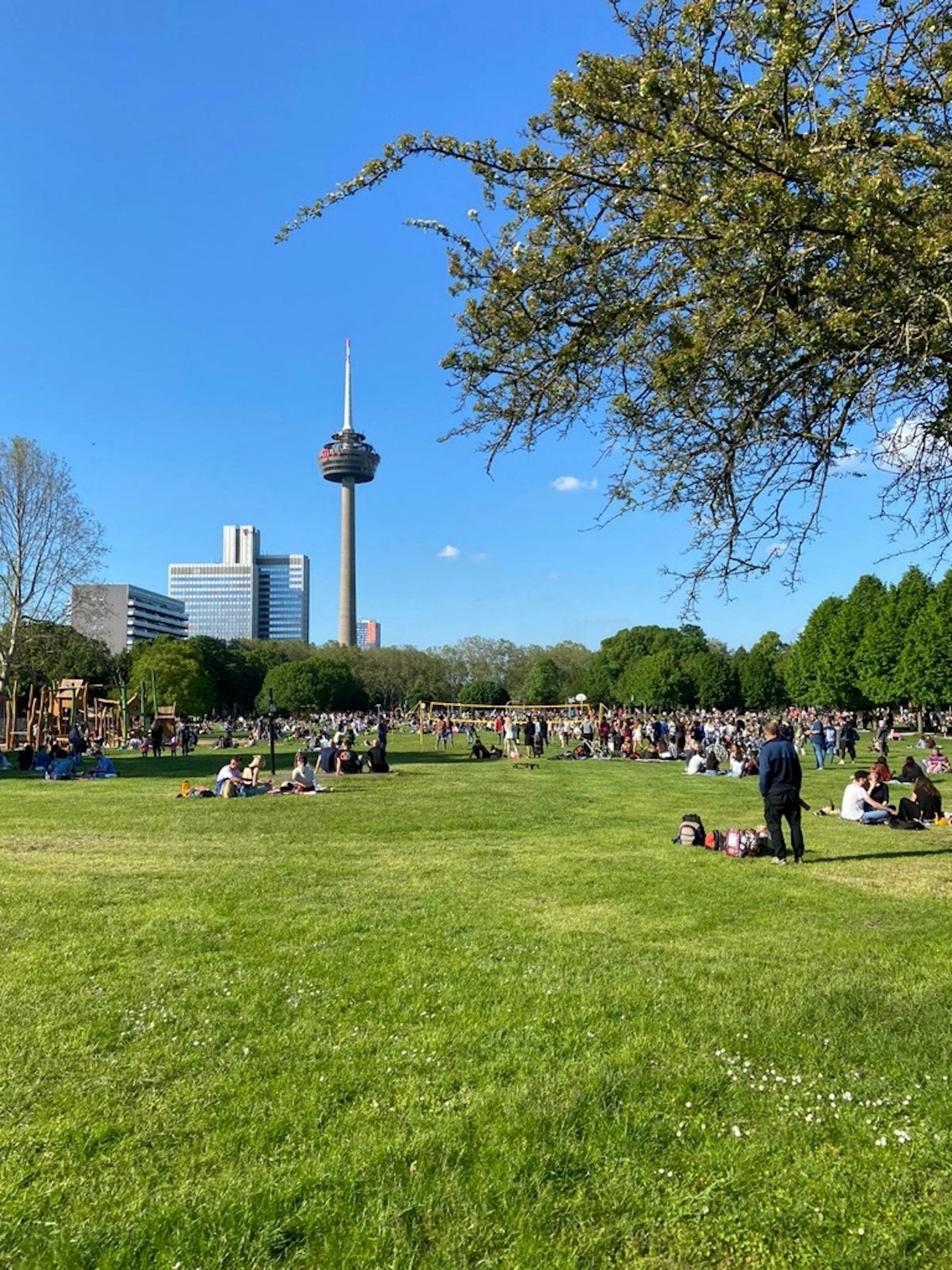 Menschen sitzen und stehen auf einer großen Rasenfläche, die von Bäumen umgeben ist. Im Hintergrund sieht man einen Fernsehturm und drei Hochhäuser.